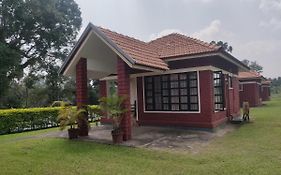 Dubare Inn Coorg
